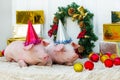 Piggie piggy piglet red pig sits Yellow New Year christmas hold hand face decorations antler two holiday caps red birthday party