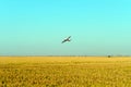 White plane fumigating rice fields with blue sky Royalty Free Stock Photo