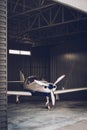 Private jet parked in the hangar Royalty Free Stock Photo