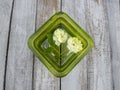 Small white rose flowers in a green glass of water on a wooden background Royalty Free Stock Photo