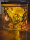 Small White Rose Night Light with Dry Pressed Flowers