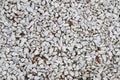 Small white stones texture Royalty Free Stock Photo
