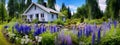 Small white wooden cottage in a field of purple and white flowers near a pond surrounded by trees and greenery Royalty Free Stock Photo