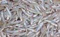 Small whitebait