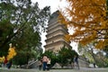 Small Wild Goose Pagoda. Xi'An. China