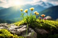 Small wild mountain flowers close up