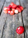 Small wild strawberry Royalty Free Stock Photo