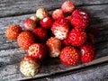 Small wild strawberry Royalty Free Stock Photo