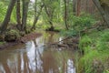 A small, wild, unregulated river flowing through the forest. Royalty Free Stock Photo
