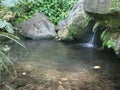 A small wild waterfall falls into a basin Royalty Free Stock Photo