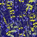 Small wildflowers and herbs drawn by hand on dark blue background.