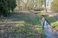 Small winding stream with a reflecting water surface