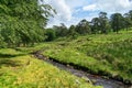 A small windingstream flowing through the scenic Forest of Bowland in Summer