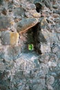 A small window in an ancient stone fortress. Royalty Free Stock Photo