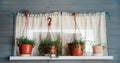 A small window with a curtain and flowers in hanging flower pots. Rustic style Royalty Free Stock Photo