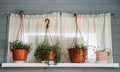 A small window with a curtain and flowers in hanging flower pots. Rustic style Royalty Free Stock Photo