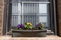 Small Window Sill Flower Box with Colorful Spring Flowers on a Home in New York City Royalty Free Stock Photo