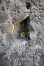 A small window in a stone fortress. Royalty Free Stock Photo