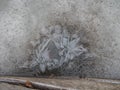 Small winter thawed patch on a snow pool and a blank space for the text Royalty Free Stock Photo
