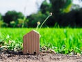 Small wood house on floor in front of rice field Royalty Free Stock Photo