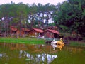 Small wood house near lake - Brazil Royalty Free Stock Photo