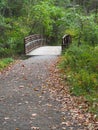 Small wood walking bridge