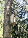 A small wooden birdhouse, a house for birds from planks of self-made hanging high on a pine tree in the forest