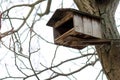 Small wooden birdhouse on tree