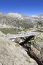 Small wooden bridge above steep narrow ravine and fast river in mountainous landscape of French Pyrenees, France, Europe