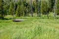 Small Wooden Bridge Crosses Creek In Grassy Meadow