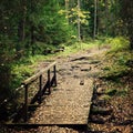 Small wooden bridge in the forest. Valaam island.