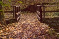 Small wooden bridge with guard rails covered in coloured autumn foliage leaves in the woods around Zurich city Switerland Hoengg Royalty Free Stock Photo