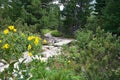 A small wooden bridge on a hiking trail in Mlynicka valley. Royalty Free Stock Photo