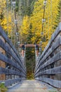 Small wooden bridge on La Riviere-des-Martres Royalty Free Stock Photo