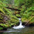 Small wooden bridge leading across a mountain creek Royalty Free Stock Photo