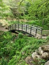 Small Wooden Bridge In Nature Royalty Free Stock Photo