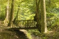 Small wooden bridge over the creek in the forest Royalty Free Stock Photo