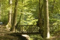 Small wooden bridge over the creek in the forest Royalty Free Stock Photo