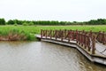 A small wooden bridge over a river in the wild and plants on the shore Royalty Free Stock Photo