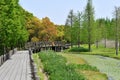 A small wooden bridge over a river in the wild and plants on the shore Royalty Free Stock Photo