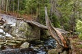 Small wooden bridge over a small brook in a deep forest Royalty Free Stock Photo