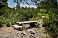 A small wooden bridge on the sidewalk in Mlynicka valley at the ascent to the Skok waterfall Royalty Free Stock Photo