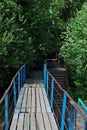 Small wooden bridge and stairs among green bushes Royalty Free Stock Photo