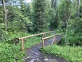 Small wooden bridges in the forest and over alpine streams in the Iberig region, Oberiberg - Canton of Schwyz, Switzerland Royalty Free Stock Photo