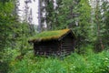 Small wooden cabin with a moss-covered roof in the middle of the forest Royalty Free Stock Photo