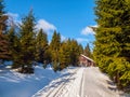 Small wooden cottage in the middle of winter forest Royalty Free Stock Photo