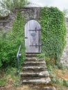 Small wooden door, entrance with an old stone staircase with an old wall, overgrown with ivy, a blank for the designer, wallpaper Royalty Free Stock Photo