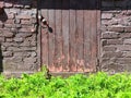 A small wooden door in an old brick wall and green grass on the lawn. Background and location for a photoshoot Royalty Free Stock Photo