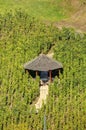 A small wooden gazebo in the middle of a vineyard in Prague, Czech republic Royalty Free Stock Photo