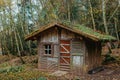 SMALL WOODEN HOUSE IN THE AUTUMN FOREST ON A CLOUDY DAY. SMALL WOODEN FARM BUILDING IN SCANDINAVIAN STYLE Royalty Free Stock Photo